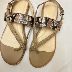 The Cole Hahn Grand Anica Genuine Leather Thong Sandal. Size 11B